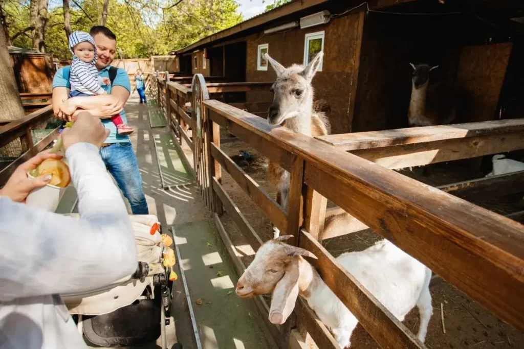 Animal Park зоопарк Київ ціна