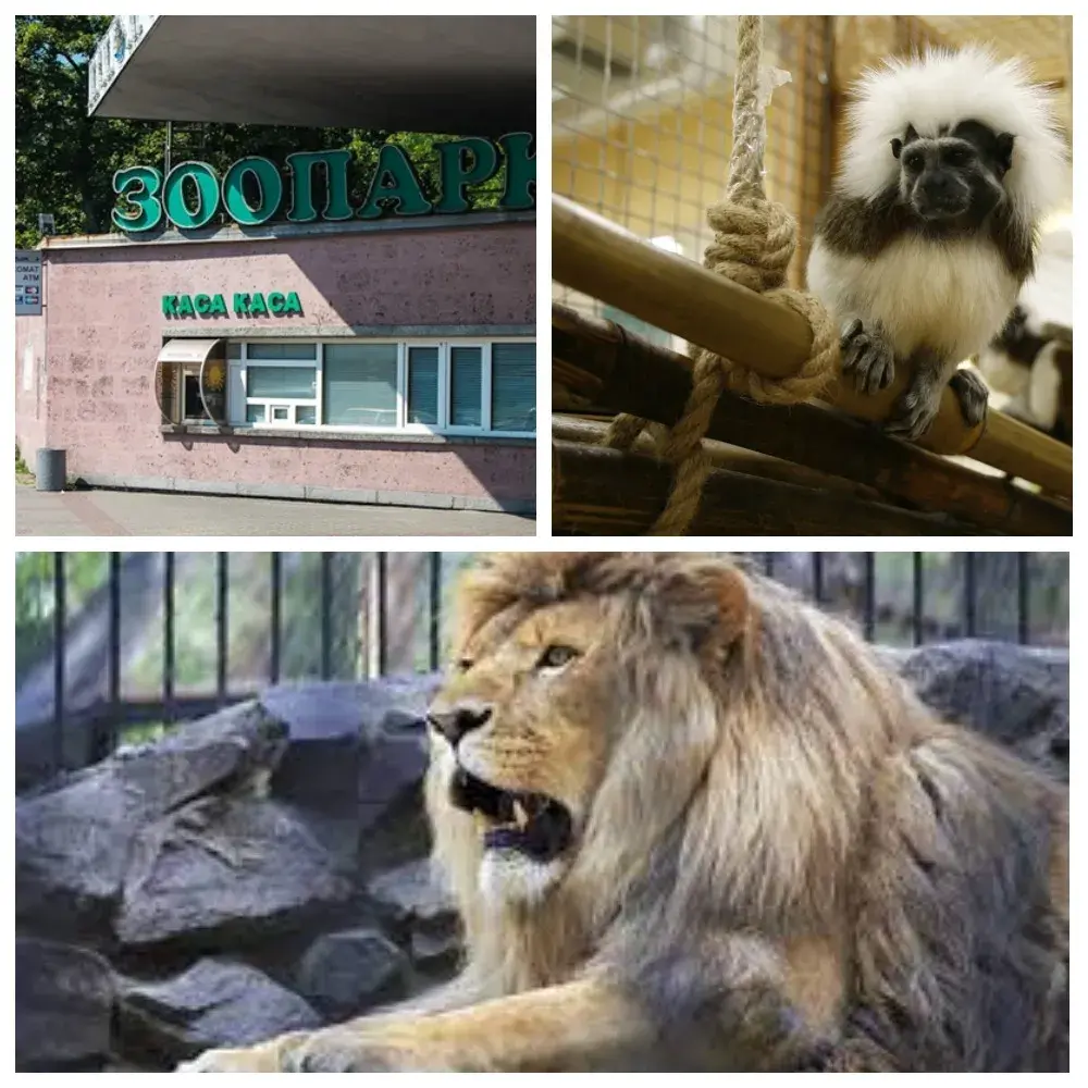 Зоопарк Київ. Огляд усіх зоопарків