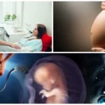 клініки репродуктивної медицини Київ