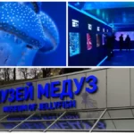 музей медуз у Києві