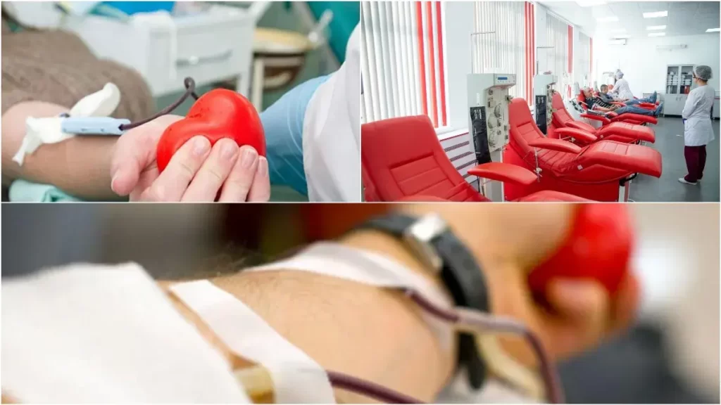 Где можно сдать кровь в Киеве и как стать донором?