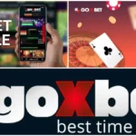 kazyno goxbet 5
