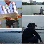 места для рыбалки в Киеве
