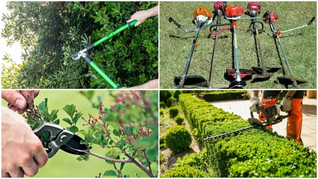 Какие инструменты нужны для обрезки деревьев и кустарников?